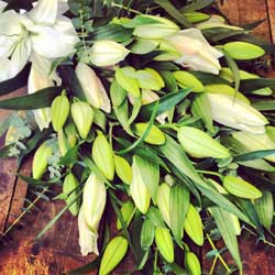 White Lily Tied Bunch