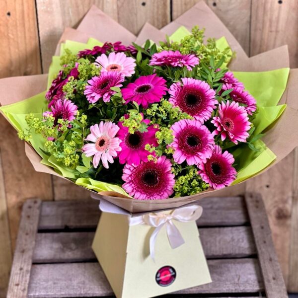 Pink Gerbera Perfection