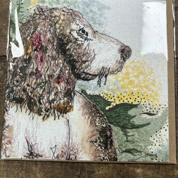 Springer Spaniel Card